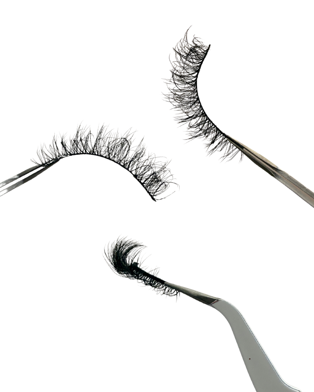 Kiwi  - 5 Pack Lash Strips